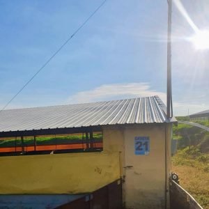 Lámina de PVC 3 Capas 2 mm