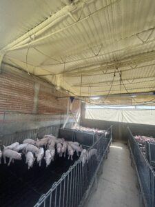 Aplicación en Granja