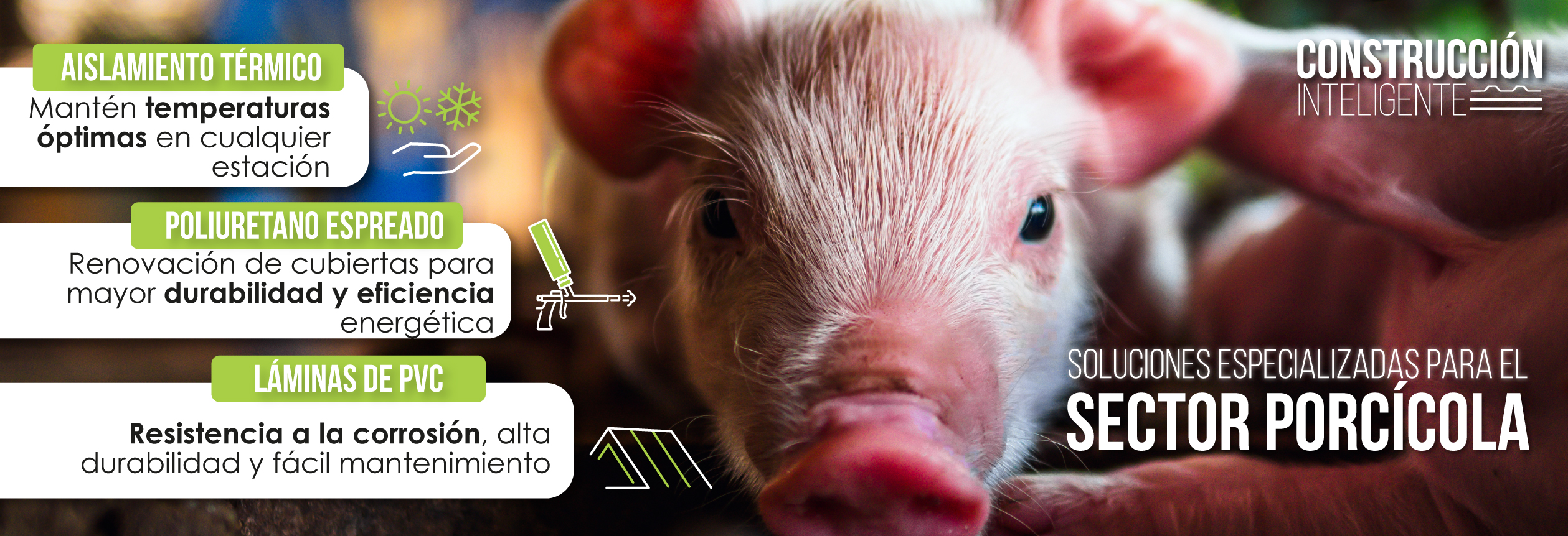SOLUCIONES-PORCI